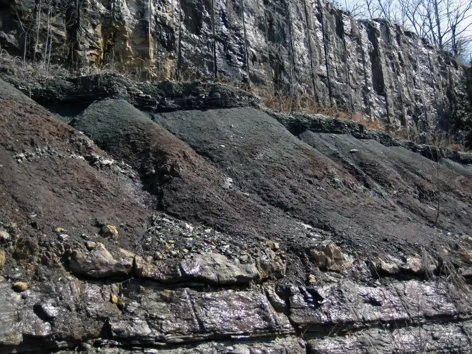 The Rocks Tell the Story: Reading Deep Time in Appalachian Stone (Paleosol (Cave Branch Member, Slade Formation, Upper Mississippian; Clack Mountain Road Outcrop, south of Morehead, Kentucky, USA) 16, CC BY 2.0)