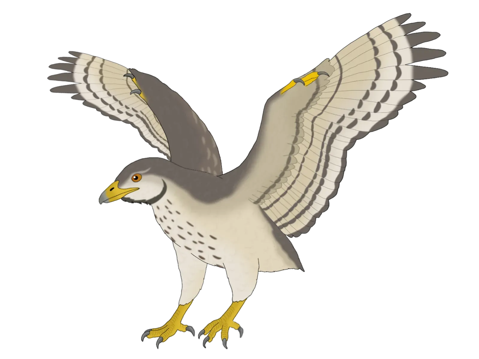 Beaks Became the Ultimate Survival Tool (Image Credits: Wikimedia)