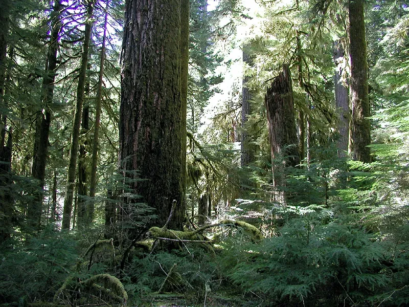 Taurus – Ancient Forests and Fertile Valleys (Transferred from en.wikipedia to Commons by Hike395 using CommonsHelper., Public domain)