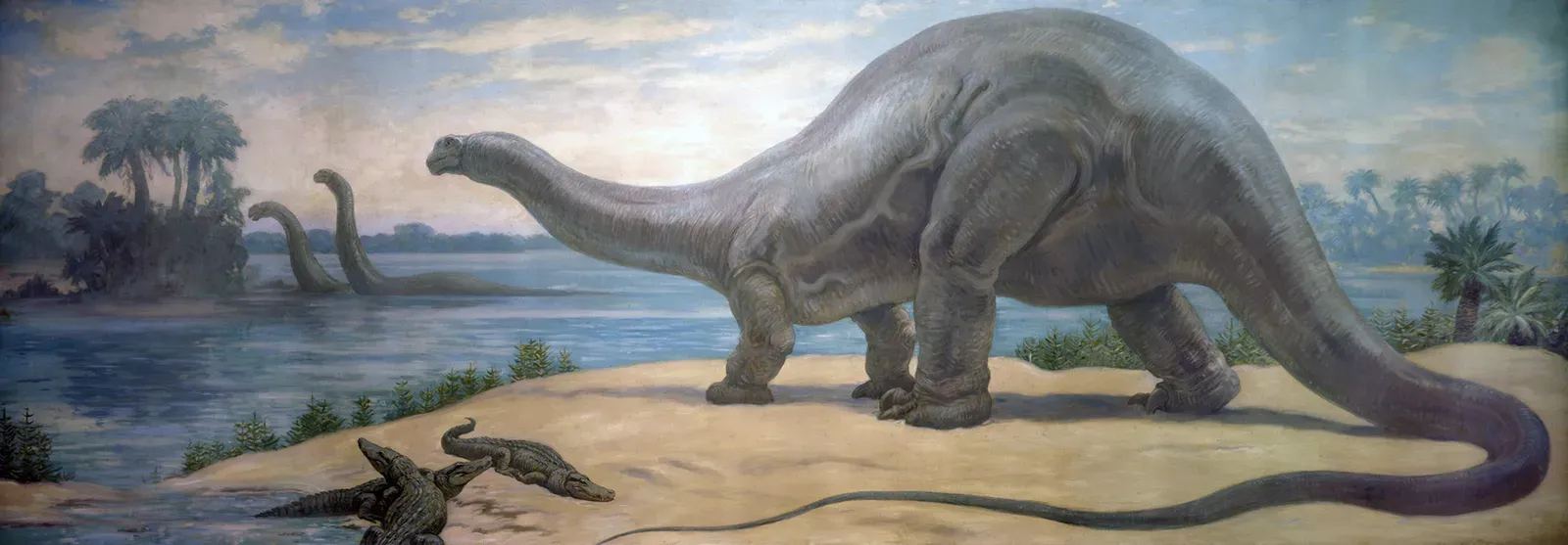 Gentle Feeding Habits of Nature's Lawnmowers (Image Credits: Wikimedia)