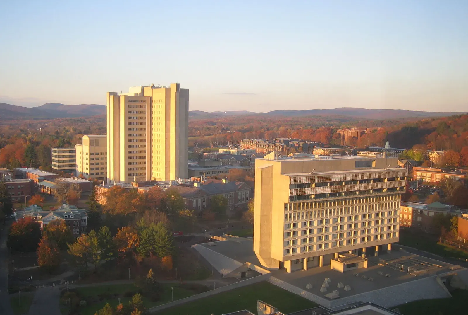 7. A University Campus Construction Pile Hiding a Jurassic Dinosaur (Image Credits: Wikimedia)