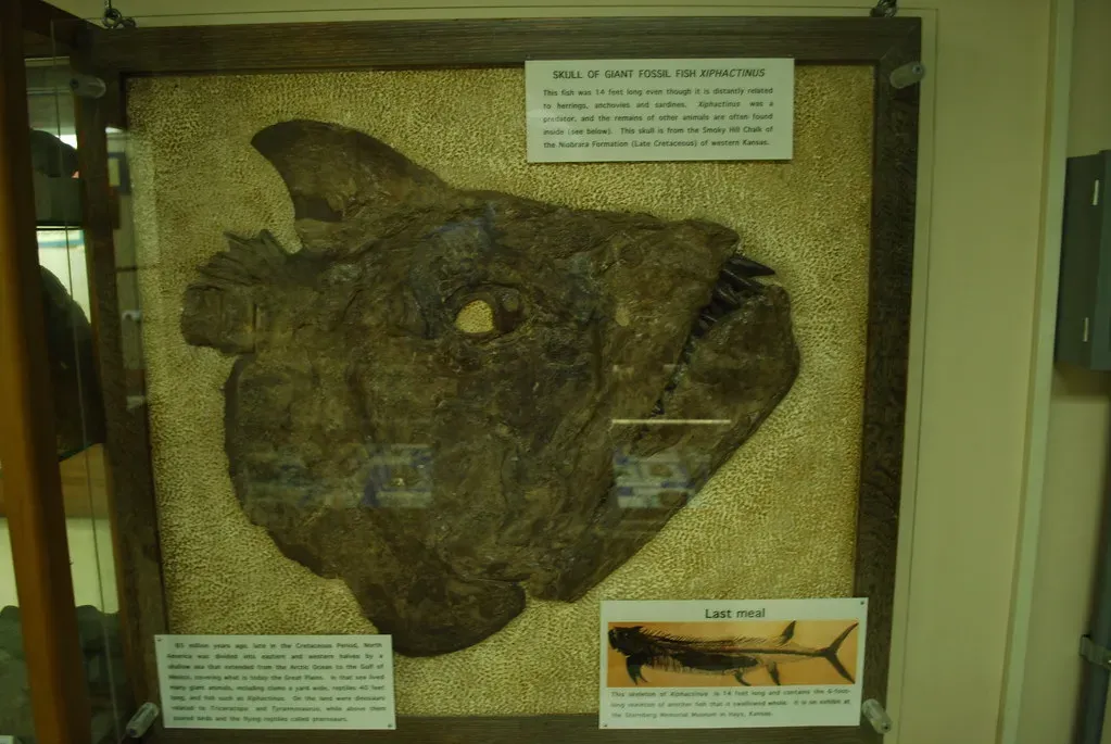 Conclusion: The Story Written in Stone Is Still Being Told (bobosh_t, Flickr, CC BY-SA 2.0)