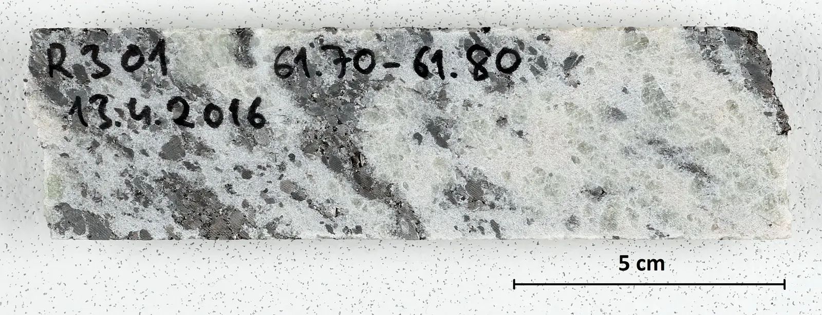 How Scientists Extract Ancient Pollen From Sediment Layers (Image Credits: Wikimedia)