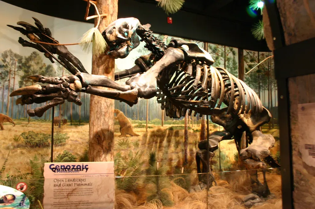 What We've Lost in Understanding These Ancient Minds (Image Credits: Flickr)