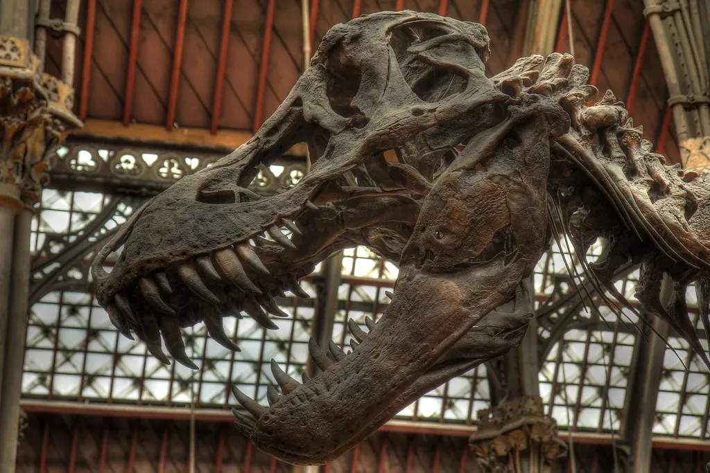 Why Most States Have No T Rex At All (Danny Chapman, Flickr, CC BY 2.0)