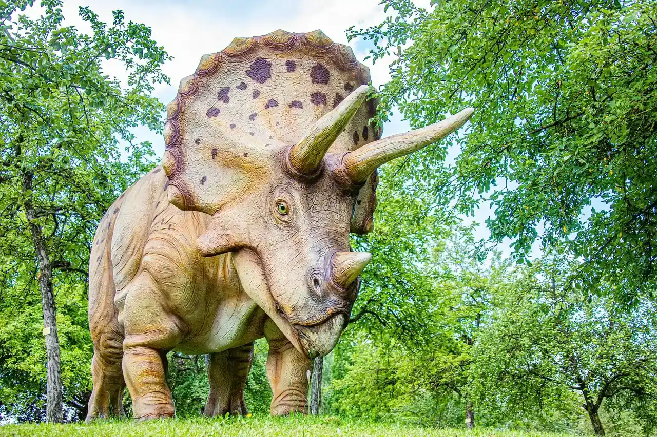 Triceratops and the Power of Horns and Frills (Image Credits: Pixabay)