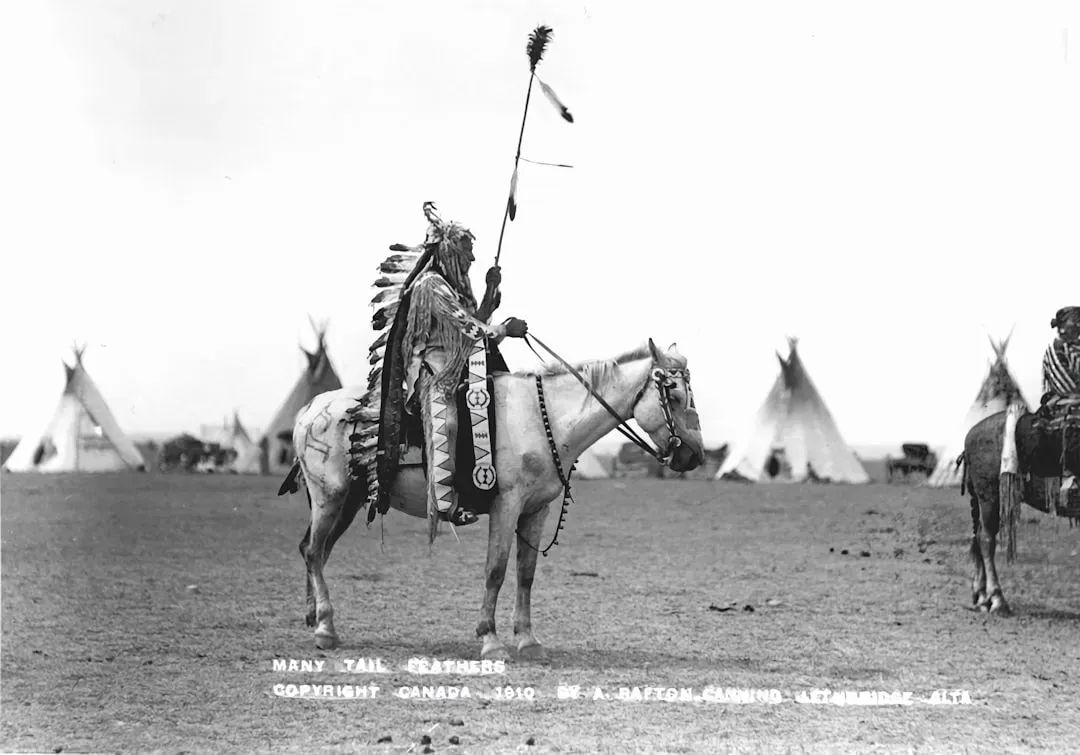 The Difficult Truth: Horses, Power, and a Violent Frontier (Image Credits: Unsplash)