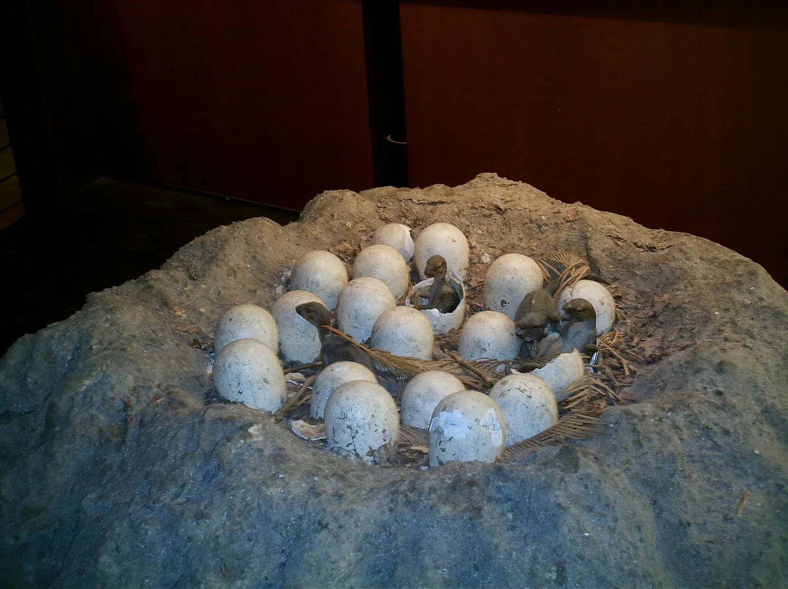 Egg Mountain and What Nesting Grounds Told Us About Parental Care (By Numéro 1963, CC BY-SA 3.0)