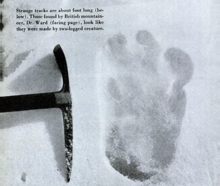 1. Eric Shipton’s 1951 Everest footprints: the modern yeti visual that started it all (The World's Most Mysterious Footprints. Popular Science. December, 1952., Public domain)