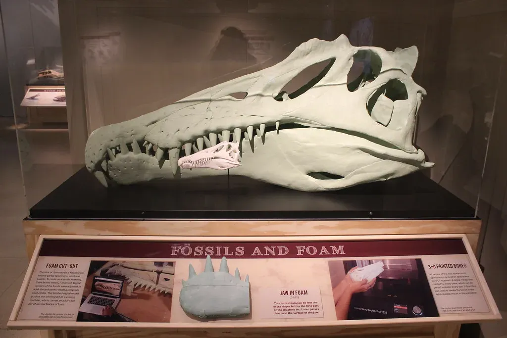 Why Scientists Still Argue About the Same Bones (Ryan Somma, Flickr, CC BY 2.0)