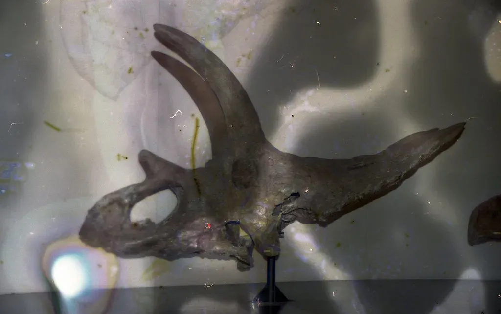 Technology Opens the Door - From CT Scans to AI-Powered Tracks (Image Credits: Flickr)