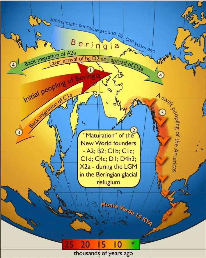 Reaching the Americas: The Final Frontier of Prehistoric Migration (Image Credits: Wikimedia)