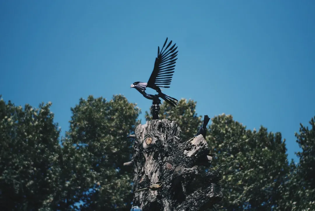 Modern Birds: The Last Dinosaurs Standing (Image Credits: Unsplash)