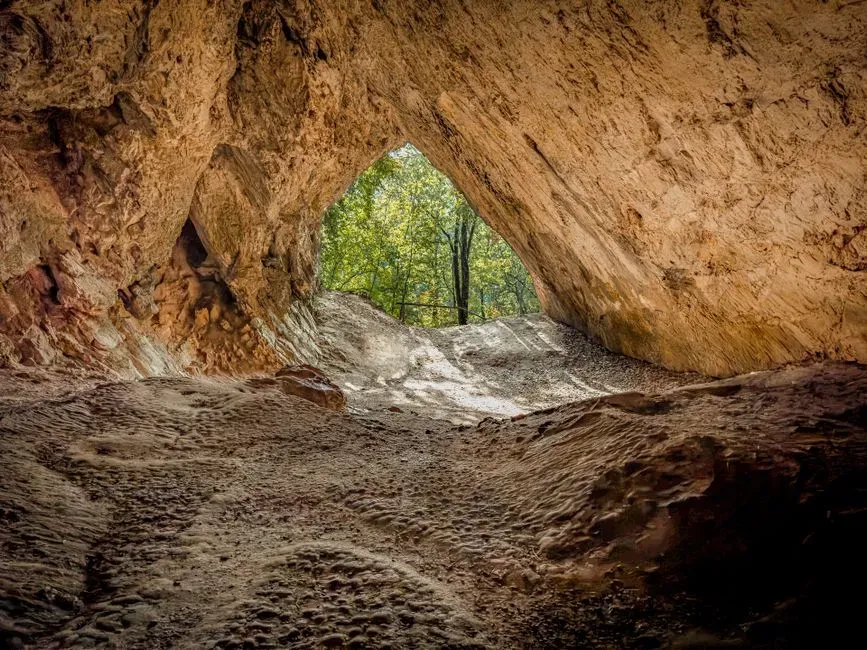 Conclusion: Living in a World That Used to Be Full of Humans (Image Credits: Pexels)