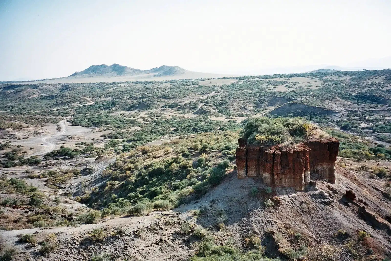 Olduvai Gorge: Where Human Origins Were Finally Proven (By Clem23, CC BY-SA 3.0)