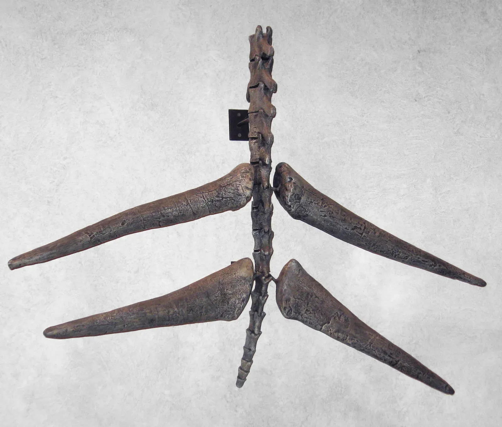 #10 - Those Spikes Were Almost Mounted on the Wrists (By Kevmin, CC BY-SA 4.0)