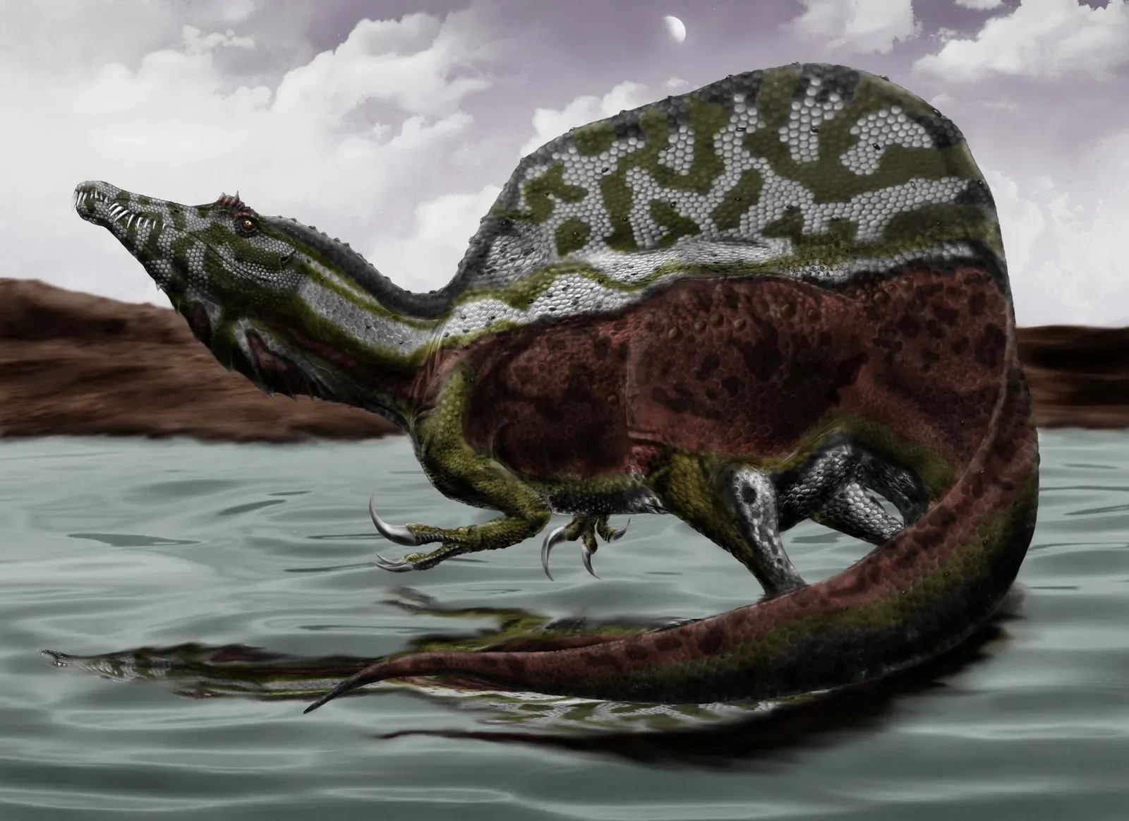 #3 - "Its Paddle-Shaped Tail Has Always Been Known" (By Durbed, CC BY-SA 3.0)