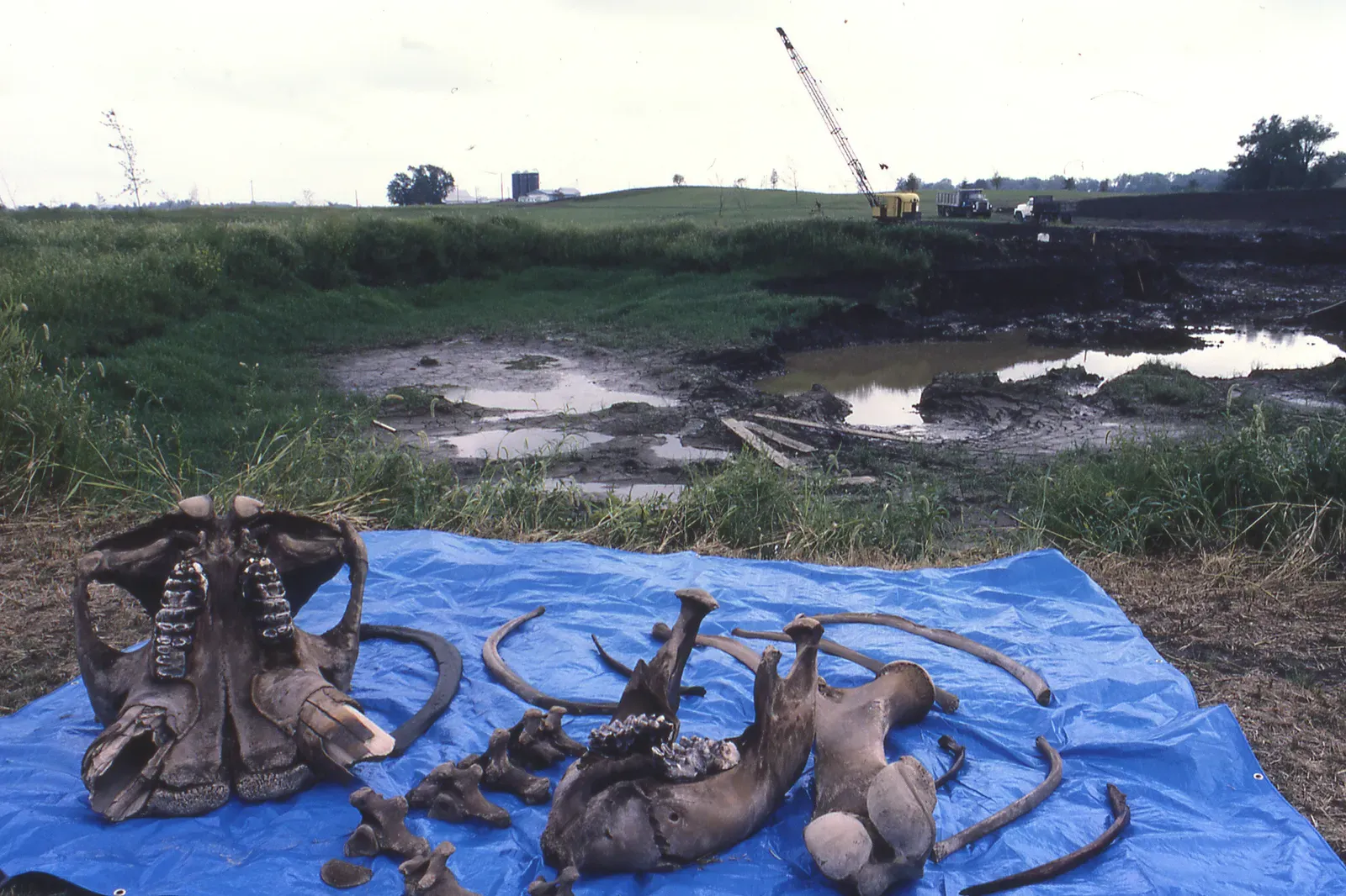 The Bottom Line (Burning Tree Mastodon excavation site, Burning Tree Golf Course, Heath, east-central Ohio 2, CC BY 2.0)