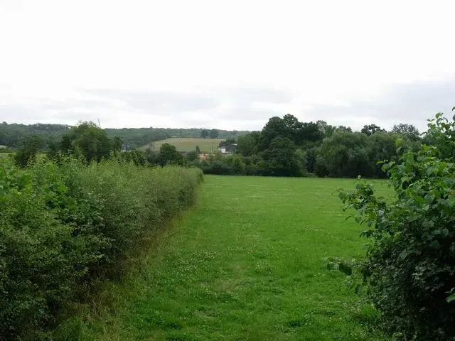 #4 - A Basement Ecosystem Nobody Bothers to Look At (From geograph.org.uk, CC BY-SA 2.0)