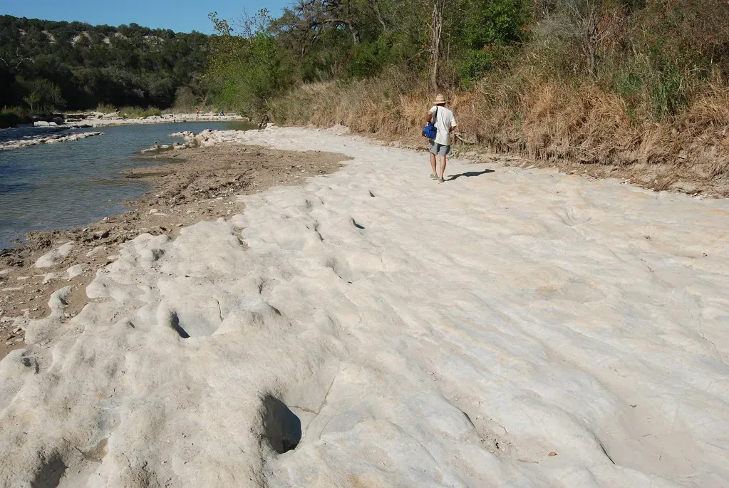 1. The Glen Rose Formation, Texas - Where Sauropod Giants Left Their Mark (Tom Dill, Flickr, CC BY 2.0)
