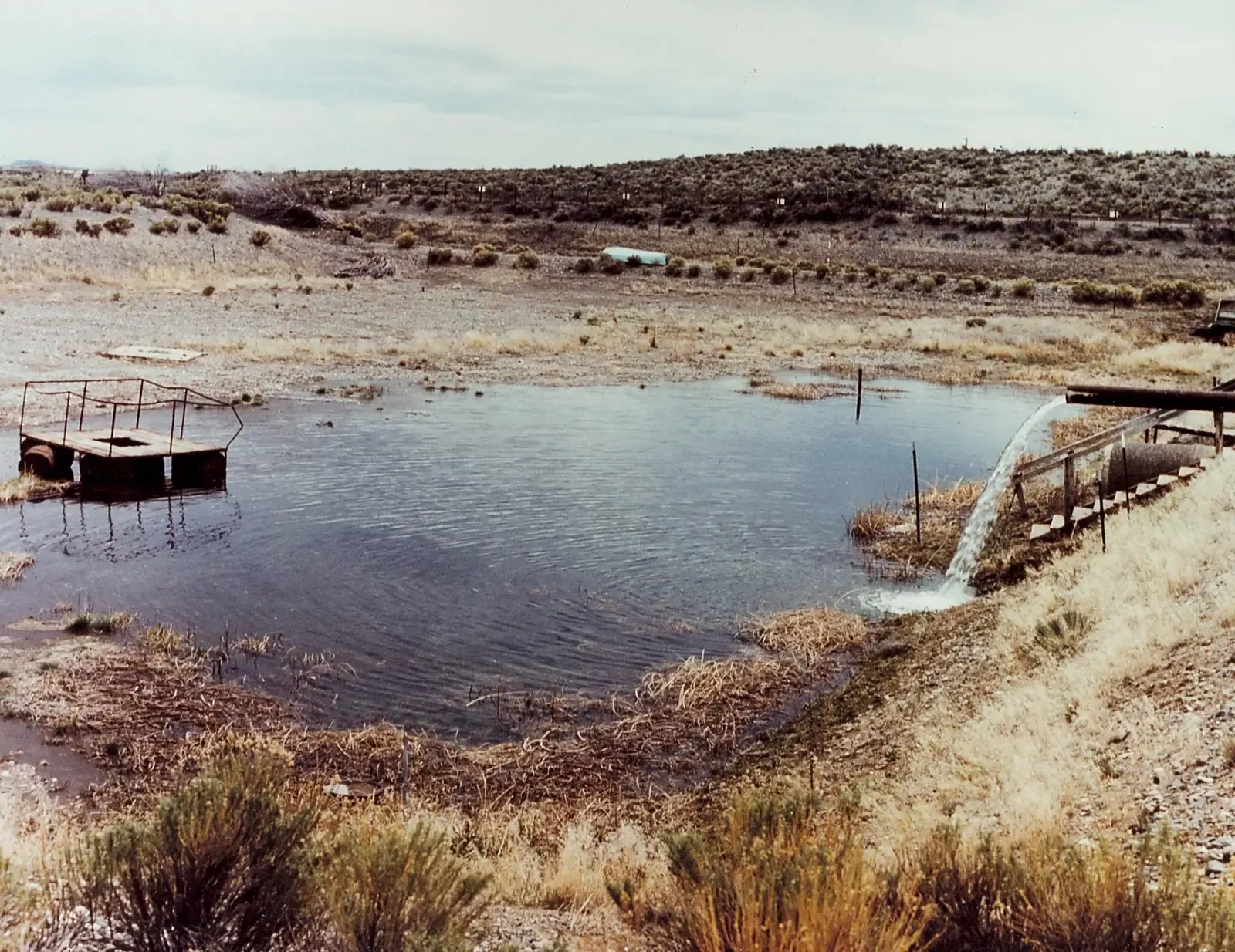 8. The Warm Little Pond Hypothesis: Darwin Was Ahead of His Time (ID 14 019, Public domain)