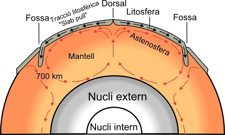 The Engine Beneath: Mantle Convection Drives Movement (Image Credits: Wikimedia)
