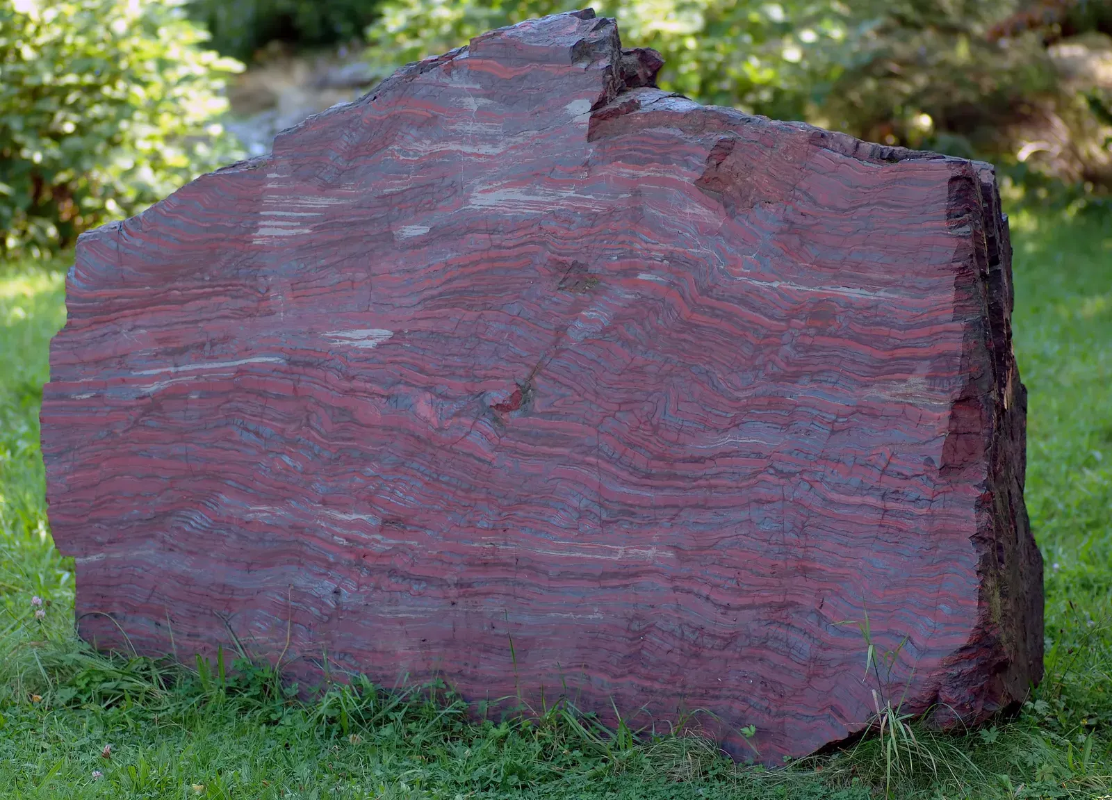 2. Banded Iron Formations: Microbial Fingerprints Written in Rock Layers (By André Karwath aka Aka, CC BY-SA 2.5)