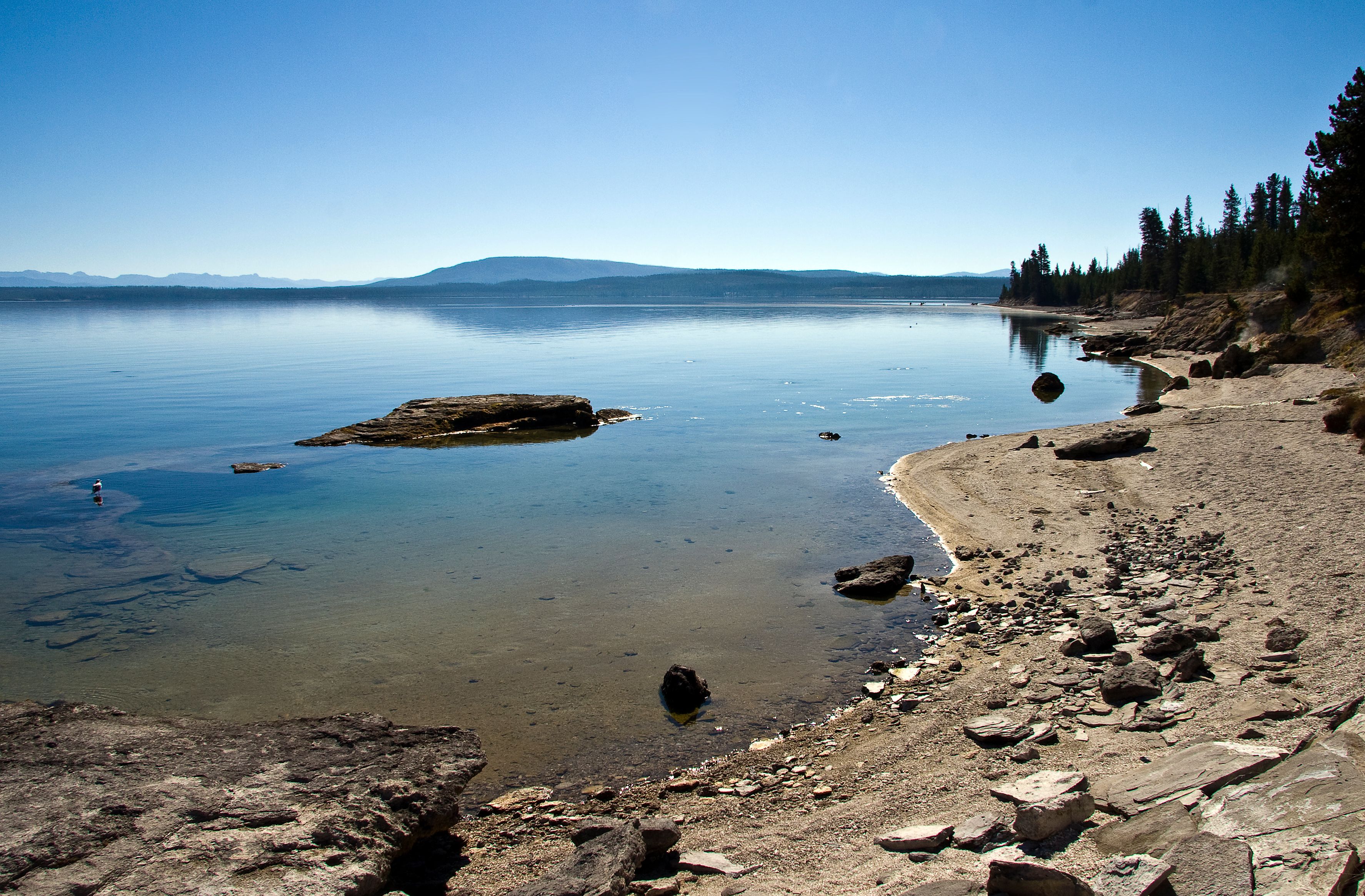 Yellowstone Lake: Underwater Geysers in a Volcanic Wonderland (Image Credits: Wikimedia)