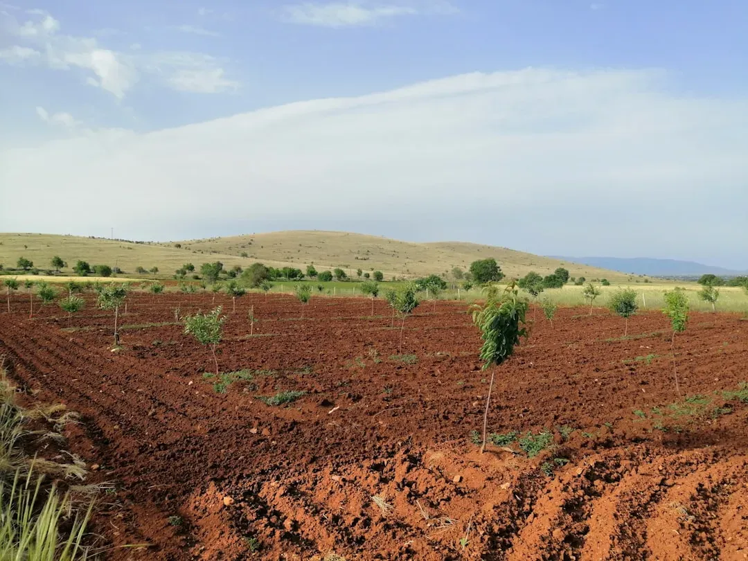They Mastered Farming In An Impossible Landscape (Image Credits: Unsplash)