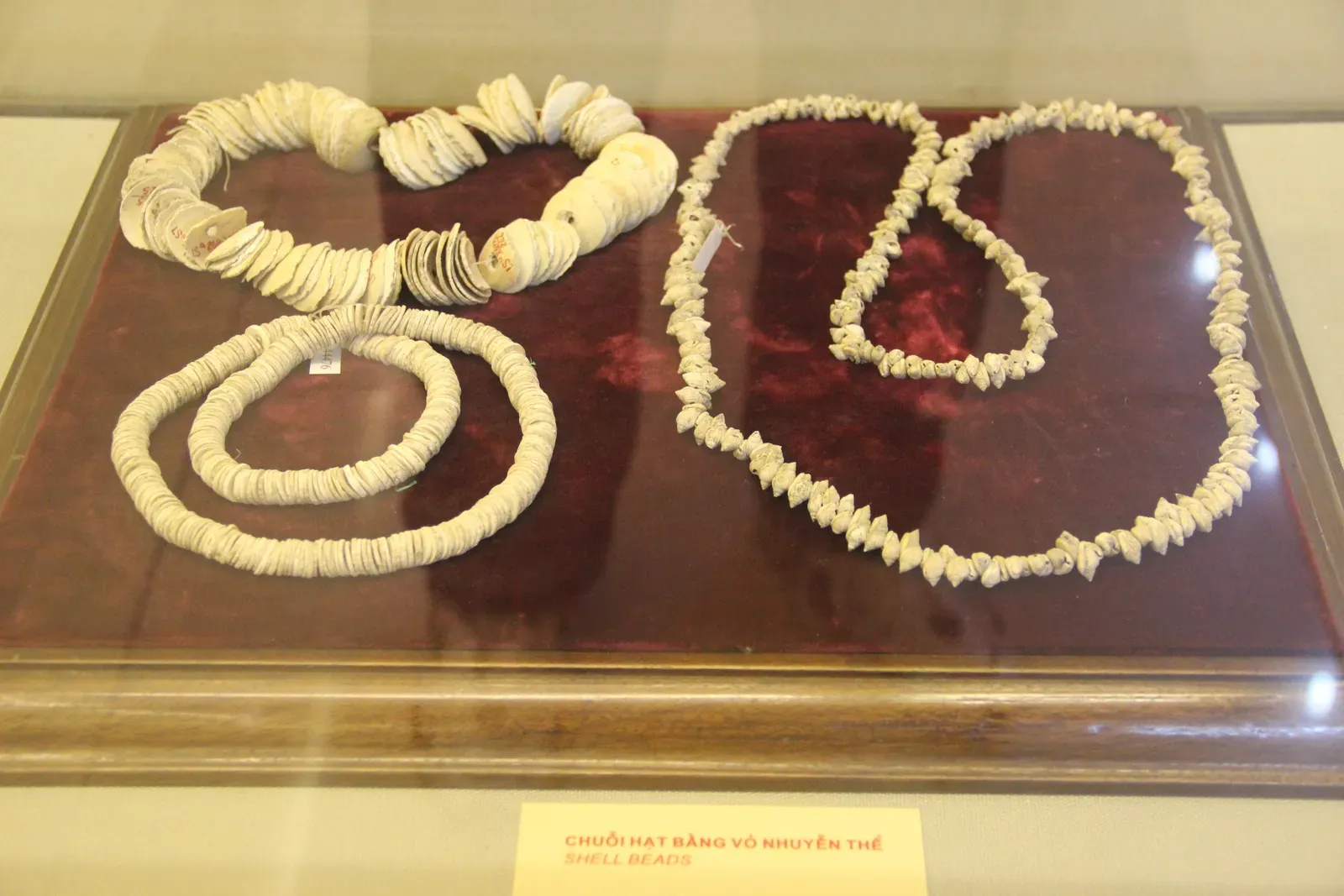 Social Glue: Sharing, Gifting, and Group Belonging (Neolithic Shell Beads, CC0)