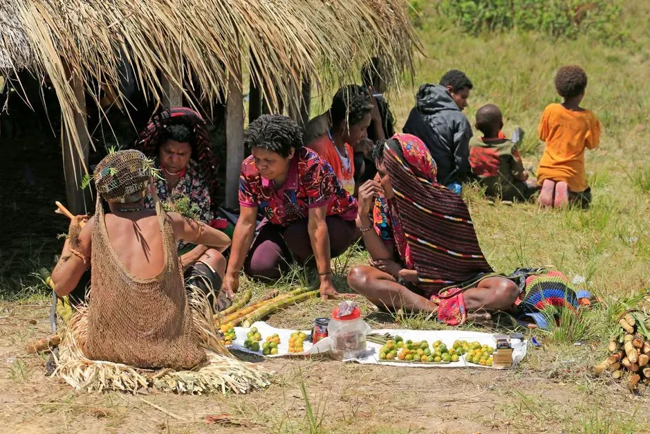 Lessons From Modern Hunter‑Gatherers (Image Credits: Pexels)