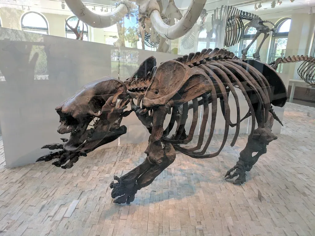 Conclusion: A Chapter of History We're Still Writing (PaintedByDawn, Flickr, CC BY 2.0)