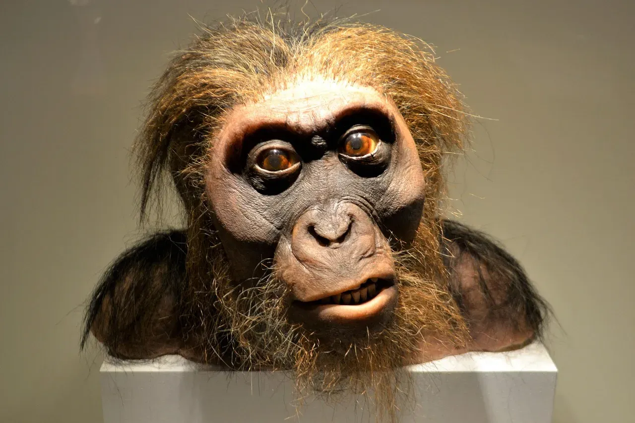 Dirt as a Costume: How Filth Became the Visual Shortcut for “Primitive” (Image Credits: Pixabay)
