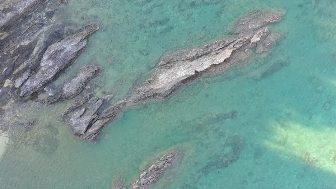 Shallow Seas Invade the Continental Interior During the Paleozoic (Image Credits: Unsplash)