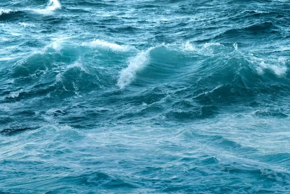 How Your Brain Reacts to Water: Calm, Focus, and Awe (Image Credits: Pexels)