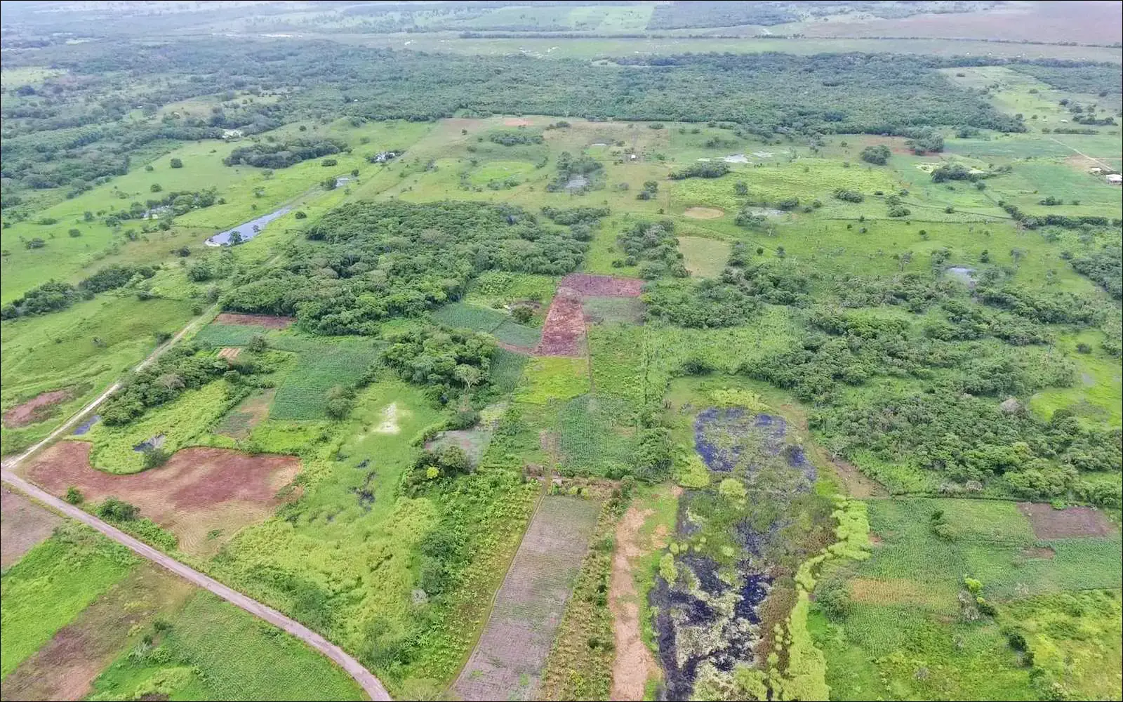 Pre-Columbian Complexity in Mesoamerica Runs Deeper Than Pyramids (By Takeshi Inomata, CC BY 4.0)