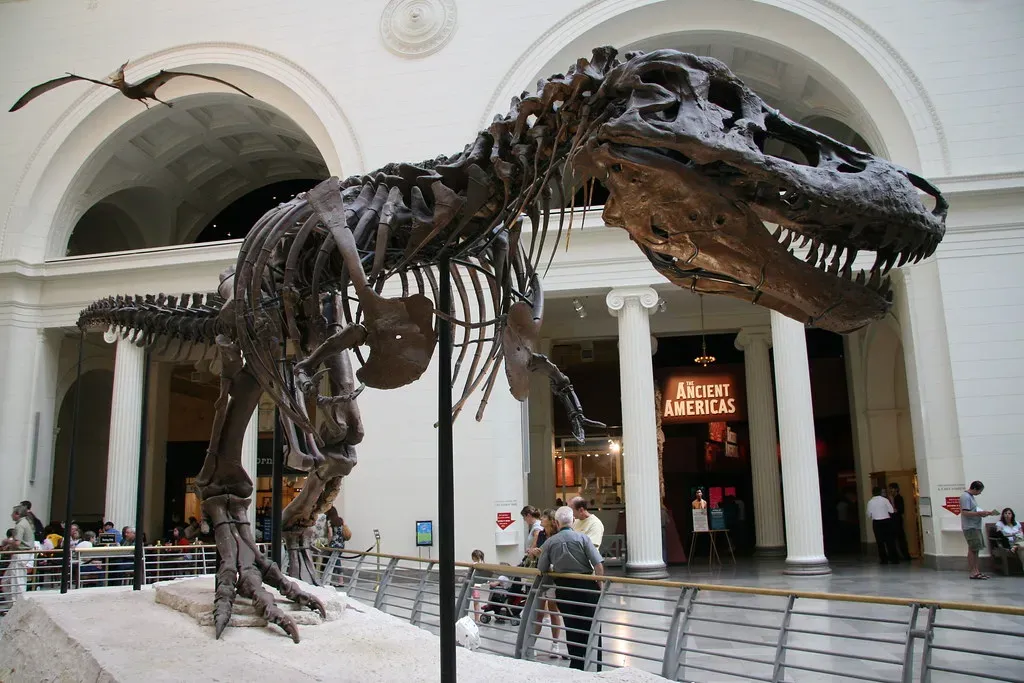 7. Sue the T. Rex: Rewriting the Biology of Earth's Most Famous Predator (Richo.Fan, Flickr, CC BY 2.0)