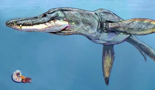 #1 - Pliosaurus funkei, "Predator X" and the Bite That Broke the Internet (By Bogdanov dmitrchel@mail.ru, CC BY 2.5)