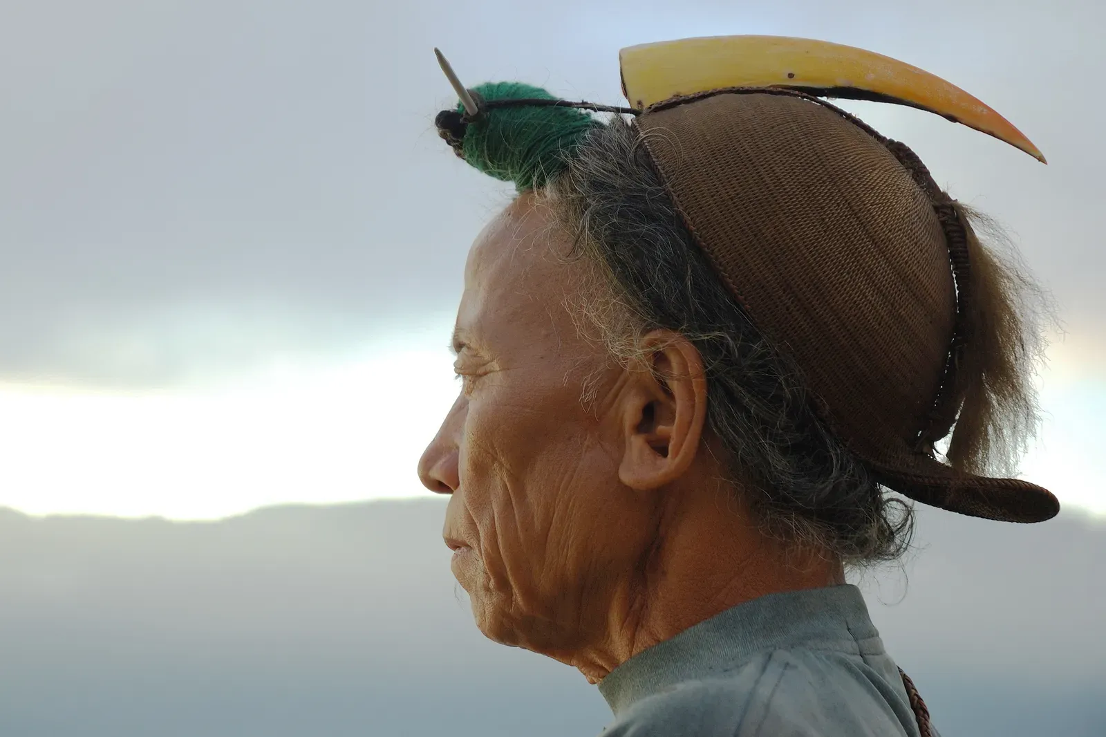 The Ancient Brain Running in a Modern World (By en:User:Doniv79, CC BY-SA 2.5)