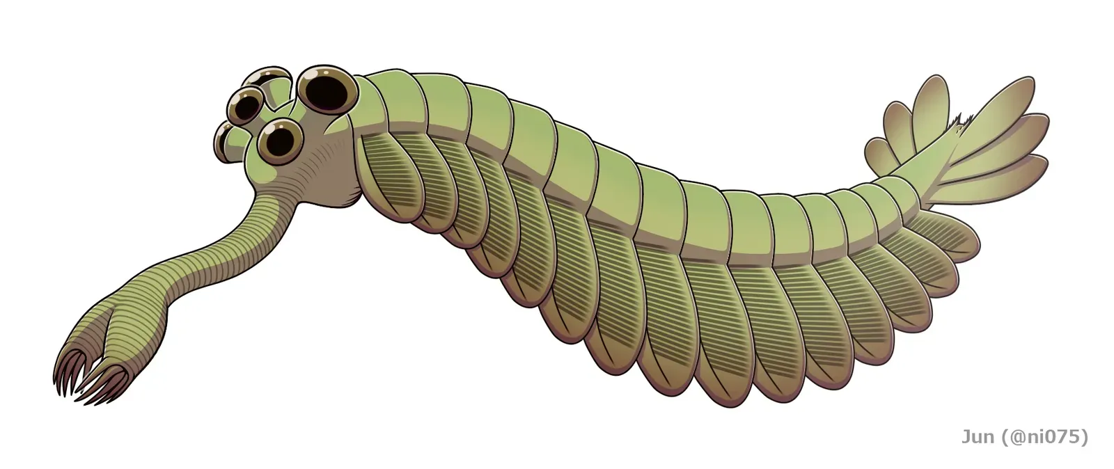 Opabinia: The Five-Eyed Anomaly With a Backward Snout (By Junnn11, CC BY-SA 4.0)