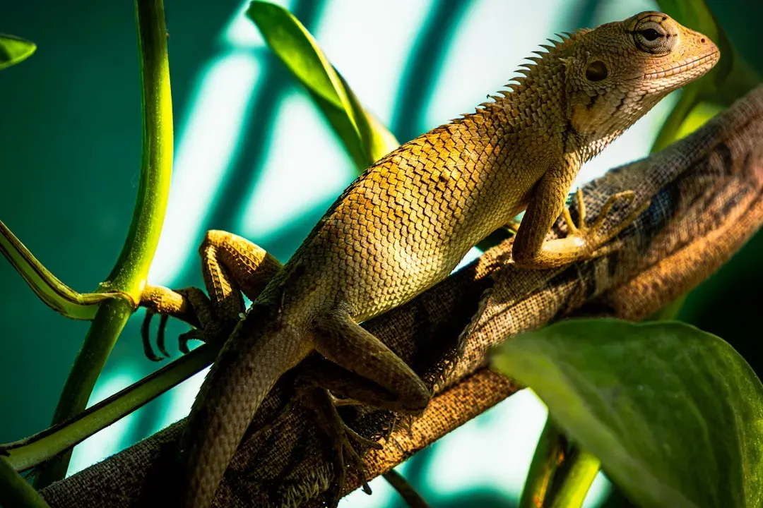 1. Natural Selection Turned Beneficial Traits Into the Norm (Image Credits: Unsplash)