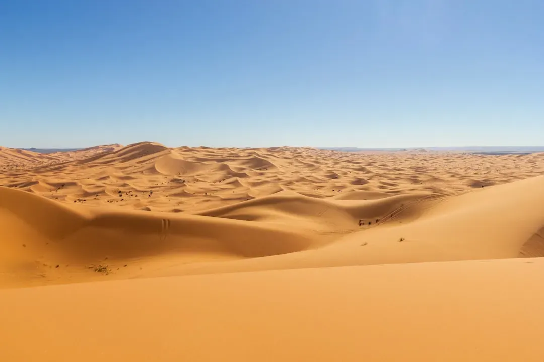 #4 - The Shape of a Dune Reveals Whether the Wind Comes From One Direction or Many (Image Credits: Unsplash)