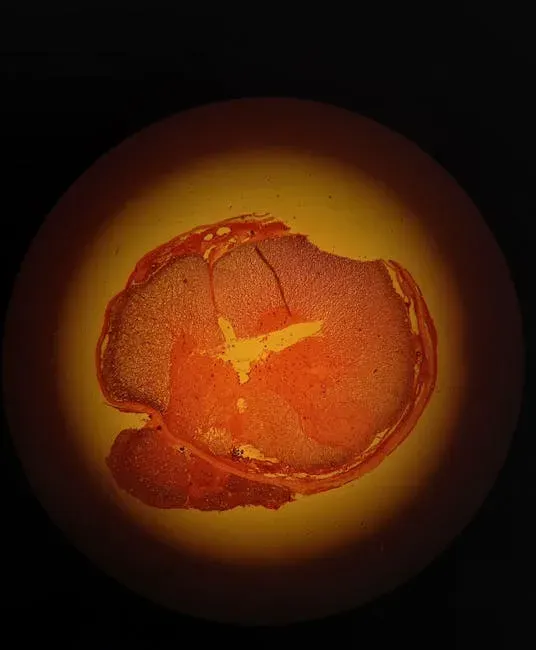 What Egg Shells Tell You About Nesting Style and Parental Investment (Image Credits: Pexels)