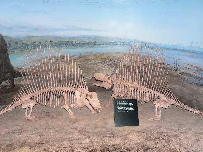 Conclusion (Own work by the original uploader, Public domain)