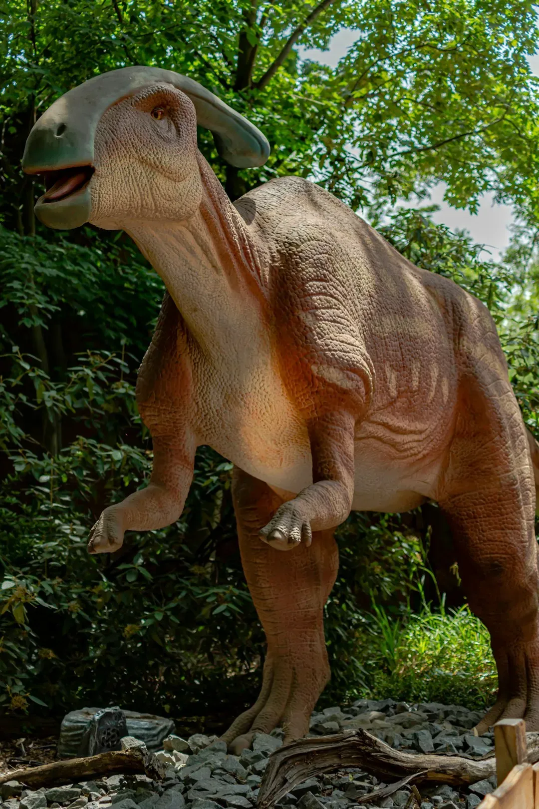 What Did Dinosaurs Actually Sound Like? (Image Credits: Unsplash)