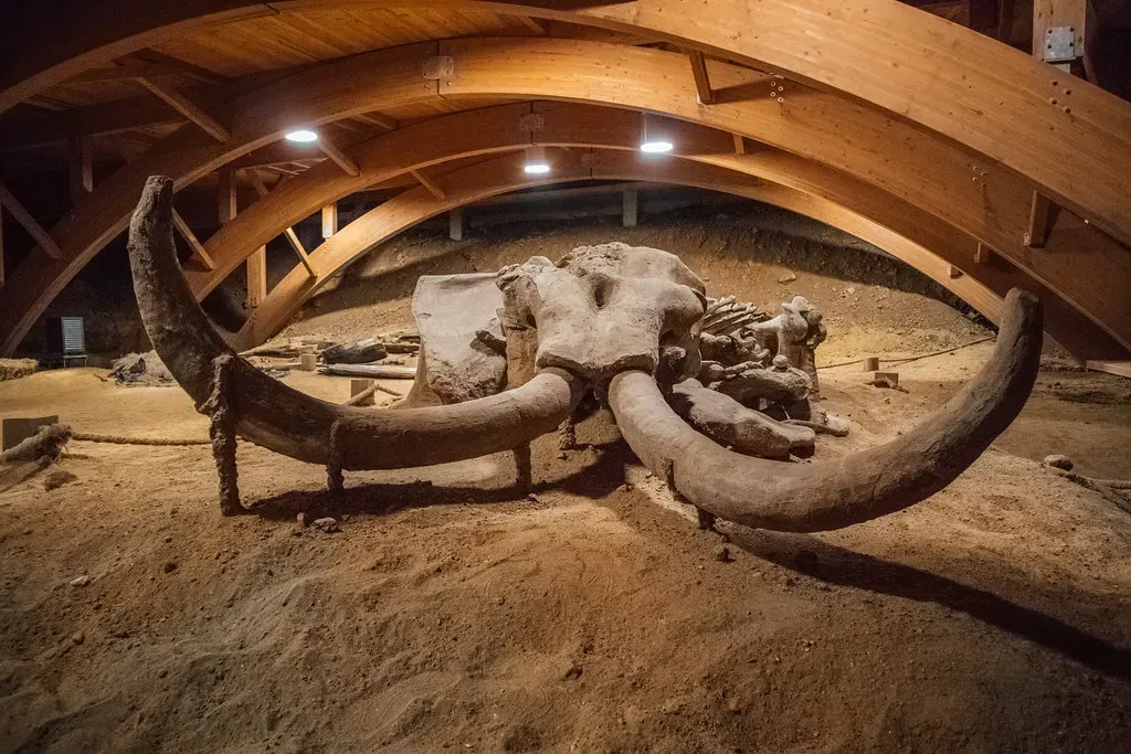 Ancient DNA Shatters Records and Rewrites Evolution (Image Credits: Flickr)