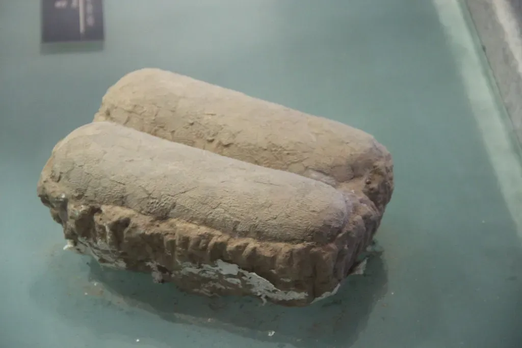 The Argentine Discovery That Stopped a Livestream in Its Tracks (Image Credits: Flickr)