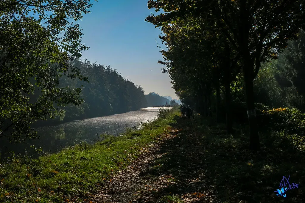 The Rivers That Became Highways to the Sea (Image Credits: Flickr)