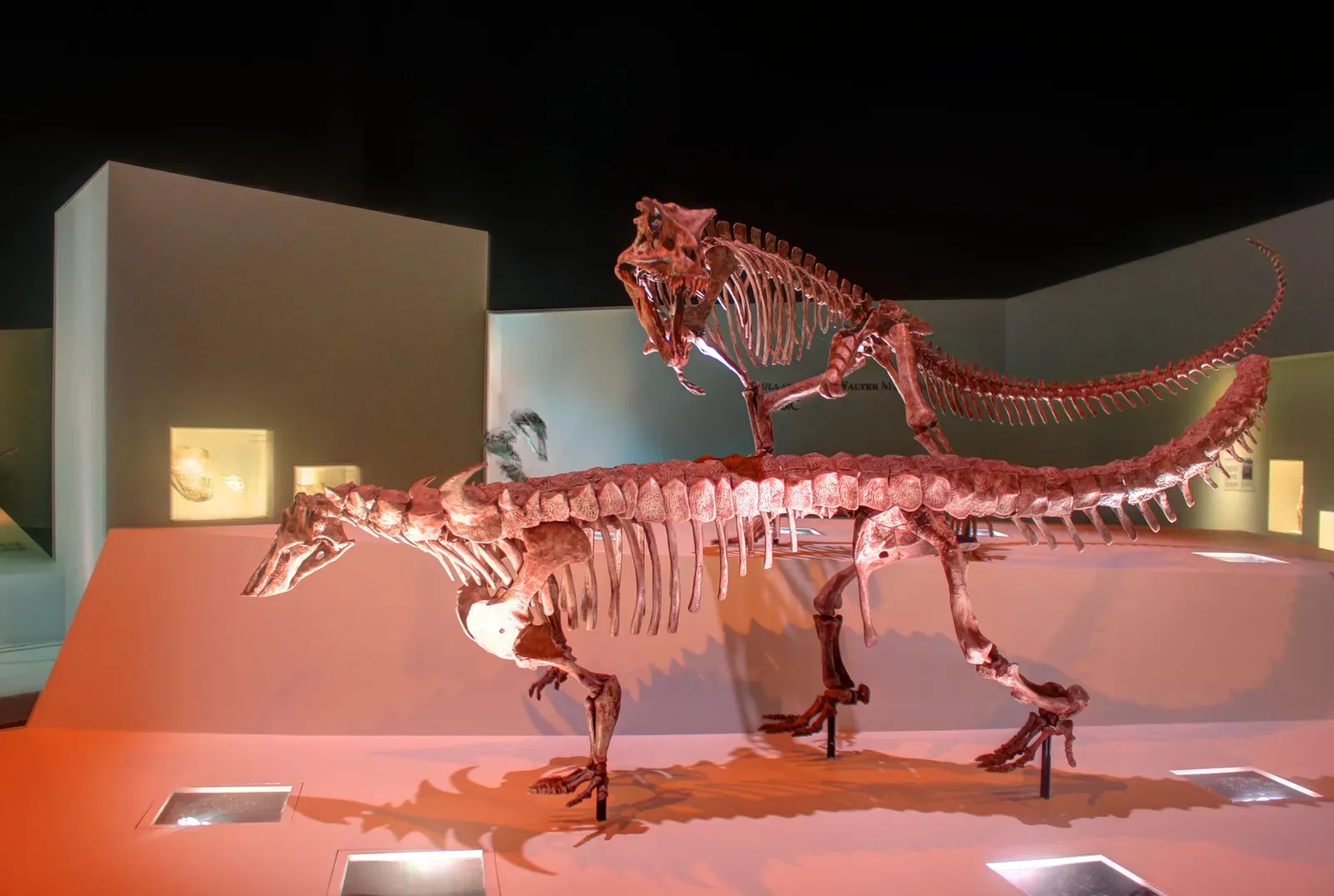 #1 - Postosuchus: The "T. Rex of the Triassic" That Was Never Close to a Dinosaur (www.goodfreephotos.com (gallery, image), Public Domain)