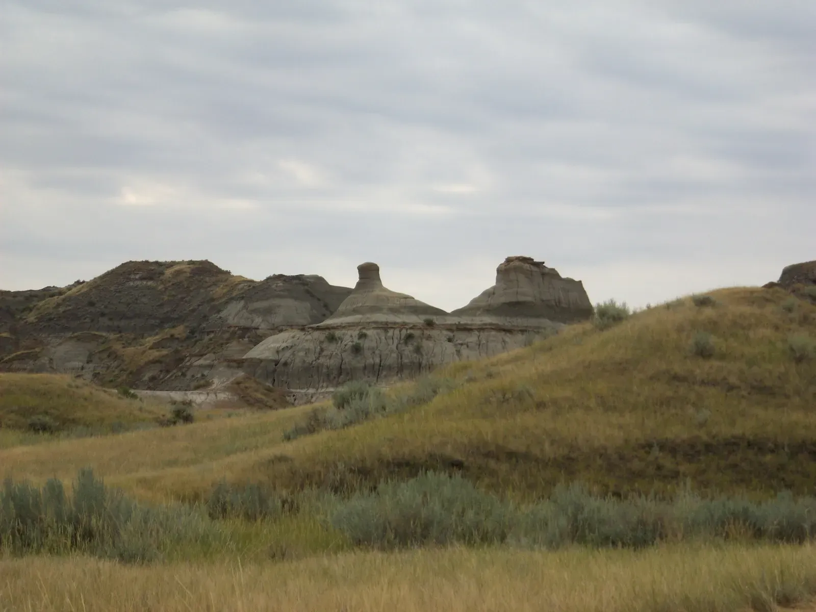 Canada's Dinosaur Provincial Park: The Species Champion (By XeresNelro, CC BY-SA 4.0)